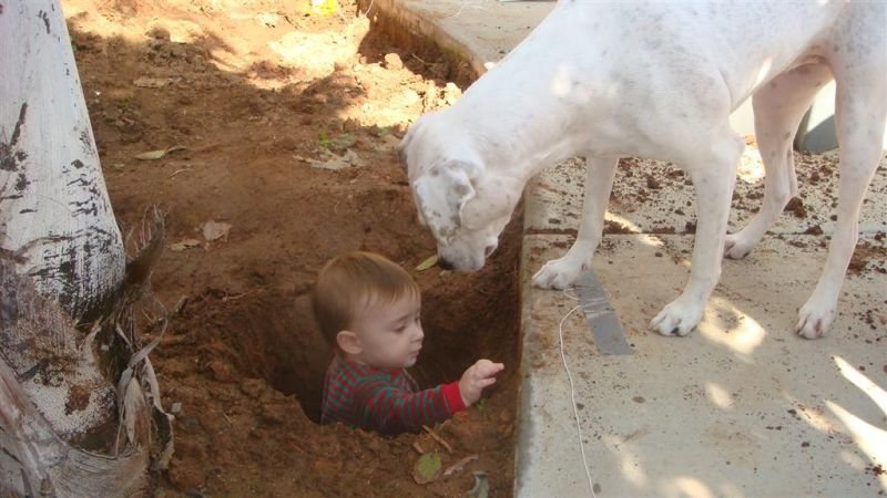Kaya Helps Trey Inspect